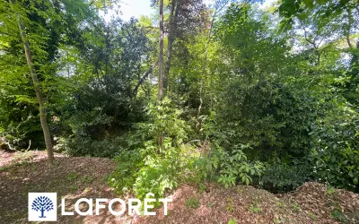 Terrain 320 000 € VILLEMOISSON SUR ORGE (91360) photo 4