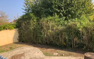Maison 1 042 €/mois GRETZ ARMAINVILLIERS (77220) photo 2