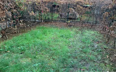Appartement 1 462 €/mois MAISONS ALFORT (94700) photo 2