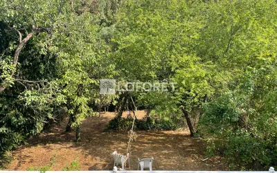 Maison 349 000 € CONFLANS SAINTE HONORINE (78700) photo 5