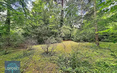 Terrain 299 000 € MORSANG SUR SEINE (91250) photo 4