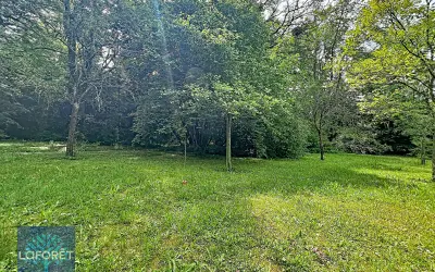 Terrain 299 000 € MORSANG SUR SEINE (91250) photo 5