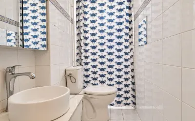 Appartement 249 000 € ISSY LES MOULINEAUX (92130) photo 5