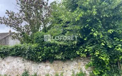 Terrain 70 000 € LIMAY (78520) photo 4