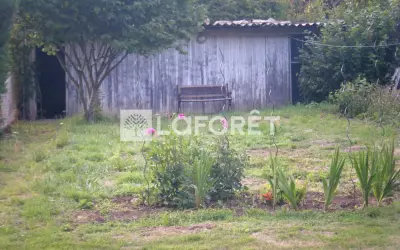 Terrain 75 000 € BLENNES (77940) photo 5