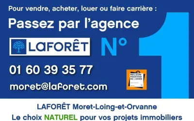 Appartement 165 000 € MORET LOING ET ORVANNE (77250) photo 9