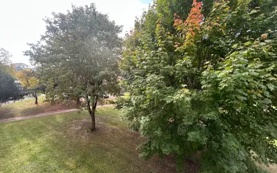 Appartement 950 €/mois VERNEUIL SUR SEINE (78480) photo 9