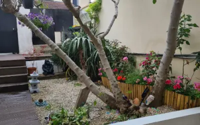Maison 384 000 € FONTENAY SOUS BOIS (94120) photo 6