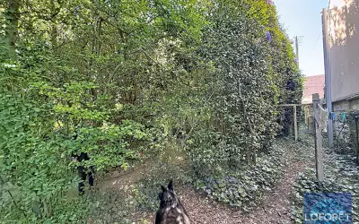 Terrain 240 000 € VIGNEUX SUR SEINE (91270) photo 2