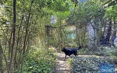 Terrain 240 000 € VIGNEUX SUR SEINE (91270) photo 4