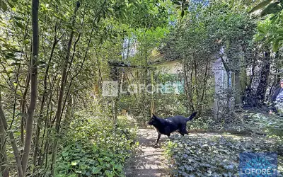 Terrain 240 000 € VIGNEUX SUR SEINE (91270) photo 4