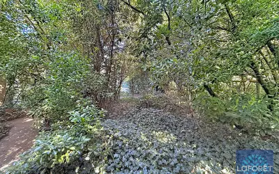 Terrain 240 000 € VIGNEUX SUR SEINE (91270) photo 5