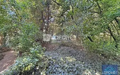 Terrain 240 000 € VIGNEUX SUR SEINE (91270) photo 5