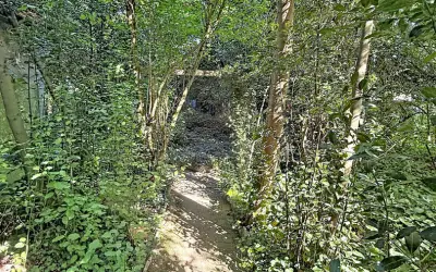 Terrain 240 000 € VIGNEUX SUR SEINE (91270) photo 6