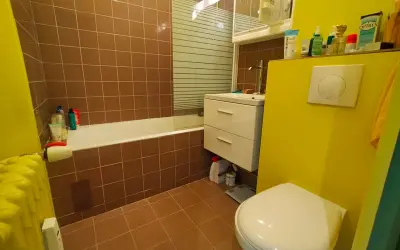 Appartement 230 000 € FONTENAY SOUS BOIS (94120) photo 8