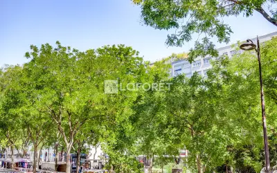 Appartement 445 000 € PARIS (75011) photo 9