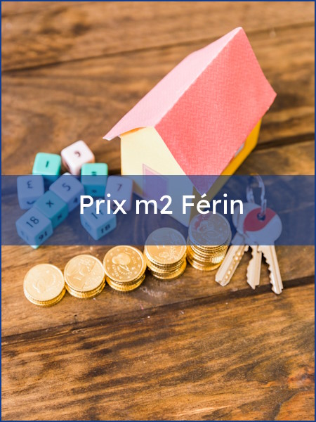 prix m2 ferin