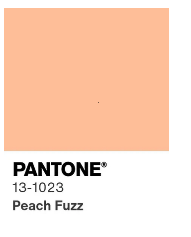 pantone couleur de l'année 2024- peach fuzz