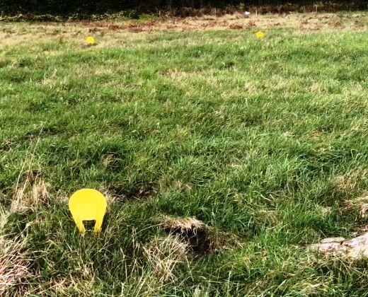 Bornage amiable - terrain- blog laforêt pont-l'abbé