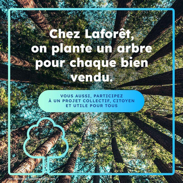 vendre avec laforêt - un arbre planté