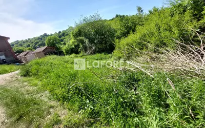 Photo n° 3