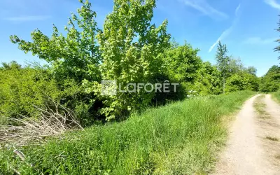 Photo n° 4